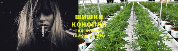 дмт Балахна