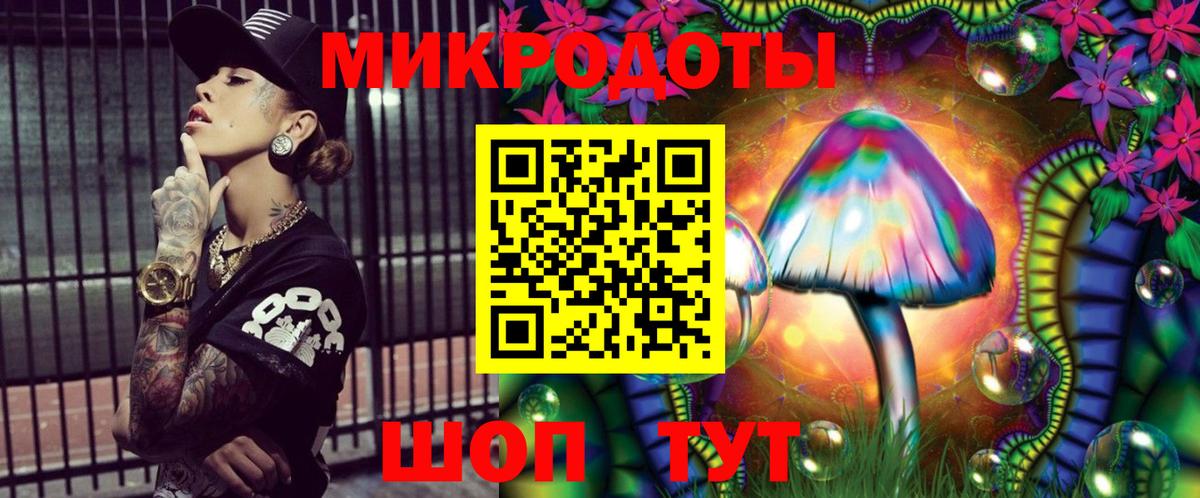 Псилоцибиновые грибы Psilocybe Великие Луки